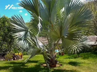 Fazenda/Sítio com 2 Quartos à venda, 3000m² no Comunidade Urbana de Jaboti, Guarapari