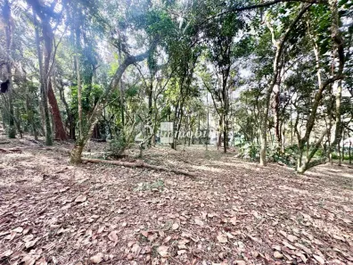 Lote/Terreno à venda, 1472m² no Vila de São Fernando, Cotia