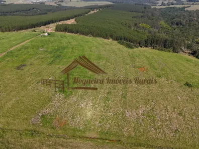 Fazenda/Sítio à venda, 302500m² no Área Rural de Botucatu, Botucatu