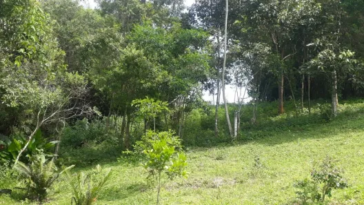 Lote/Terreno à venda, 1250m² no Ibiraquera, Imbituba