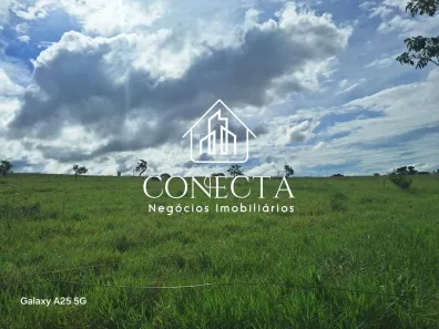 Fazenda/Sítio com 2 Quartos à venda, 30000m² no Jardim Karaíba, Uberlândia