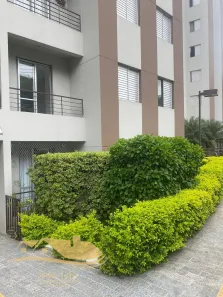 Apartamento com 2 Quartos à venda, 50m² no Vila Amélia, São Paulo