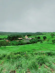 Fazenda/Sítio com 3 Quartos à venda, 1000m² no Plano Diretor Norte, Palmas