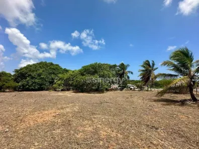 Lote/Terreno à venda, 10000m² no Cabeceiras, Tibau do Sul