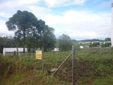 Lote/Terreno à venda, 449m² no Tijuca, Caxias do Sul
