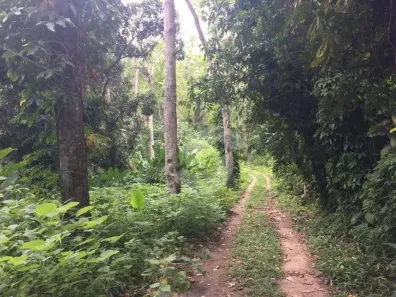 Lote/Terreno à venda, 16000m² no Várzea das Moças, Niterói