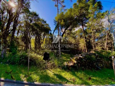 Lote/Terreno à venda, 420m² no Carniel, Gramado