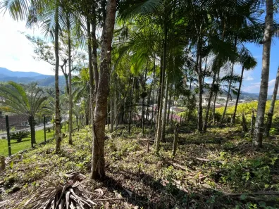 Lote/Terreno à venda, 6916m² no Aimoré, Guabiruba