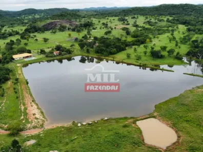 Fazenda/Sítio à venda, 500m² no , Faina
