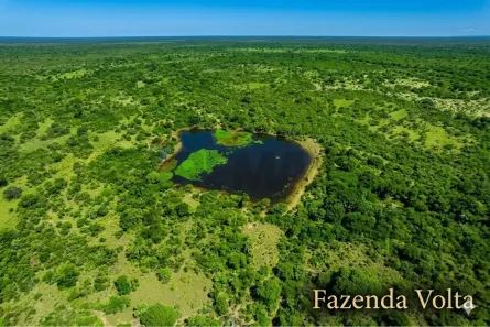 à venda, 543000000m² no Piancó, Piancó