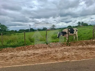 Lote/Terreno à venda, 6000m² no Centro, Cumbe