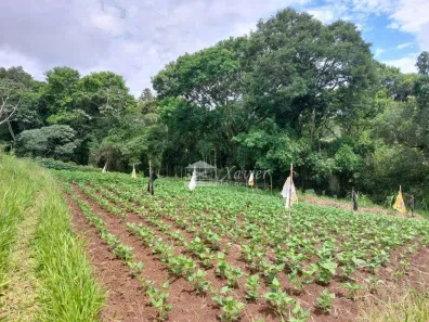 Lote/Terreno à venda, 37609m² no Sorocamirim (Canguera), São Roque