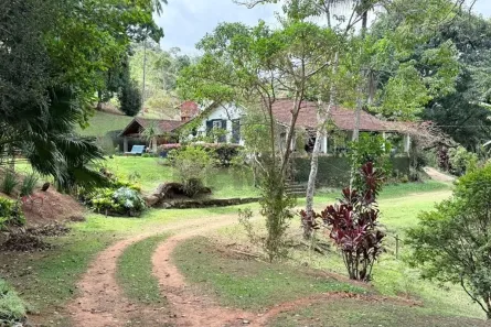 Fazenda/Sítio com 7 Quartos à venda, 36000m² no , Santana do Deserto