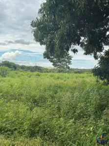 Lote/Terreno à venda, 50000000m² no , Porto dos Gaúchos