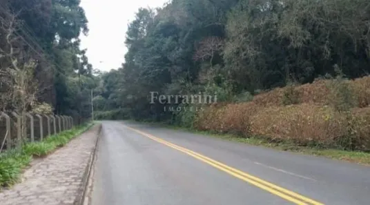 Lote/Terreno à venda, 66589m² no Jardim Busmayer, Campo Largo