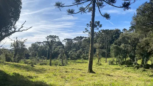 Lote/Terreno à venda, 20000m² no , Urupema