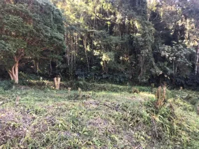 Lote/Terreno à venda, 1m² no Independência, Petrópolis