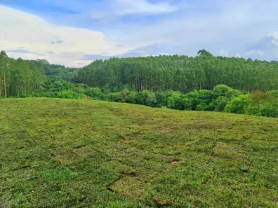 Lote/Terreno à venda, 5850m² no Lamenha Pequena, Curitiba