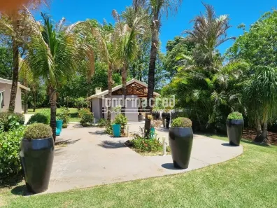 Fazenda/Sítio com 3 Quartos à venda, 450m² no Terras de Santana, Londrina
