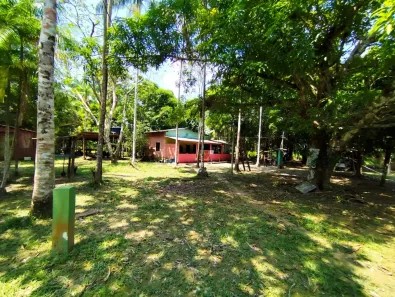 Fazenda/Sítio com 7 Quartos à venda, 390000m² no Área Rural de Manacapuru, Manacapuru