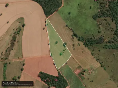 Fazenda/Sítio à venda, 72600m² no Zona Rural, Nhandeara