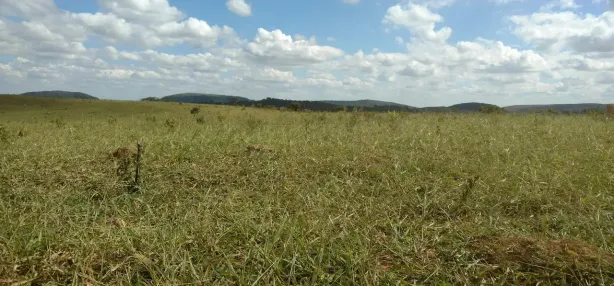 Lote/Terreno à venda, 20000m² no , Cordisburgo