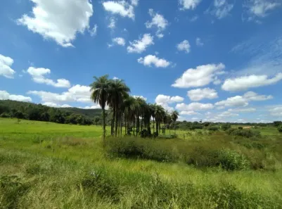 Lote/Terreno à venda, 30000m² no Vargem Bento da Costa, Esmeraldas