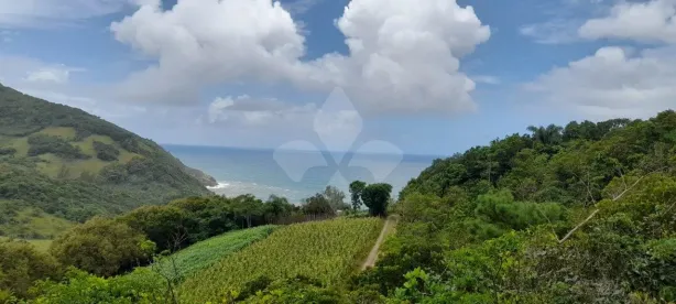 Lote/Terreno à venda, 2892m² no ,