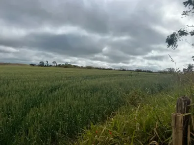 Fazenda/Sítio com 1 Quarto à venda, 1300000m² no Área Rural de Araxá, Araxá
