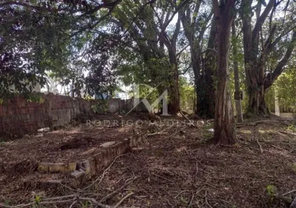 Lote/Terreno à venda, 4956m² no São Miguel (Guaporanga), Biguaçu