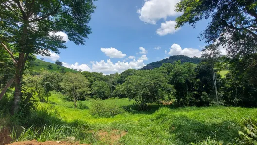 Fazenda/Sítio à venda, 20000m² no , Consolação