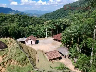 Fazenda/Sítio com 6 Quartos à venda, 200000m² no Vila Doze, Antônio Carlos