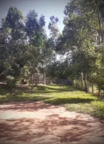 Fazenda/Sítio com 3 Quartos à venda, 50000m² no , Cláudio