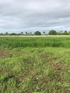 Fazenda/Sítio com 2 Quartos à venda, 690000m² no , Ceará-Mirim