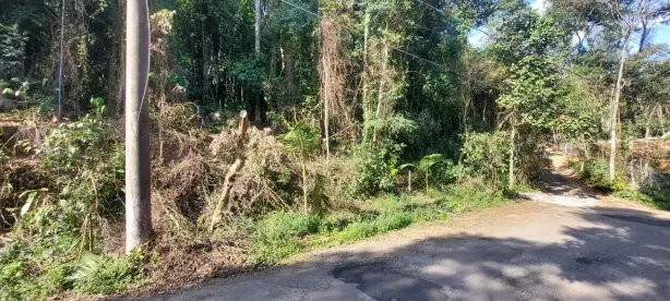 Lote/Terreno à venda, 1751m² no Caraguatá, Mairiporã