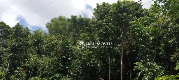 Lote/Terreno à venda, 1400000m² no Trancoso, Porto Seguro