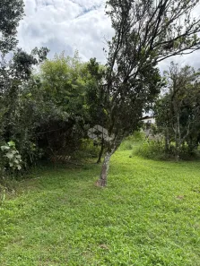 Lote/Terreno à venda, 1290m² no Olaria, Canoas