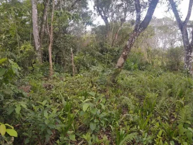 Lote/Terreno à venda, 275m² no Belas Artes, Itanhaém