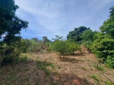 Fazenda/Sítio à venda, 1160m² no Chácaras Meu Cantinho, Monte Mor