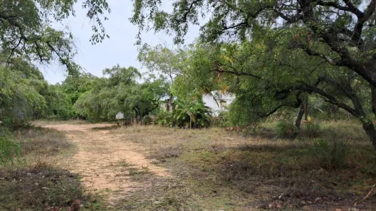 Lote/Terreno à venda, 11701m² no Planalto Nossa Senhora da Conceição, Conde