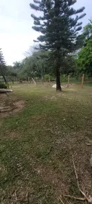 Lote/Terreno à venda, 1000m² no Bairro da Fazenda Velha, Pinhalzinho