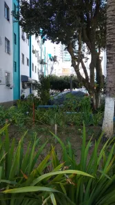 Apartamento com 2 Quartos para alugar, 52m² no Praia da Costa, Vila Velha