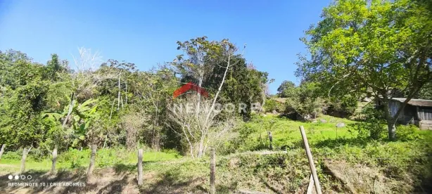 Lote/Terreno à venda, 60000m² no Centro, Imaruí