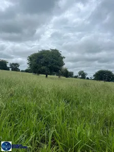 Fazenda/Sítio com 2 Quartos à venda, 73m² no Setor Central, Montes Claros de Goiás