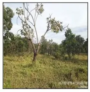Lote/Terreno à venda, 5000m² no Parque Alvorada II, Luziânia