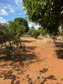 Lote/Terreno à venda, 1320m² no Setor Central, Bela Vista de Goiás