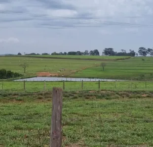 Fazenda/Sítio com 5 Quartos à venda, 1452000m² no Área Rural de Monte Aprazível, Monte Aprazível