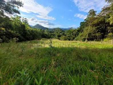 Fazenda/Sítio à venda, 6000m² no Guabiruba Sul, Guabiruba