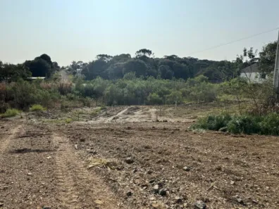 Fazenda/Sítio com 1 Quarto à venda, 3477334m² no , Papanduva
