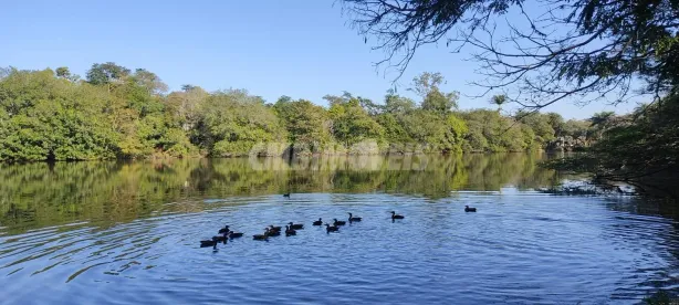 Sobrado com 3 Quartos à venda, 316m² no Cidade Universitária, Campinas